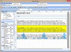 TRichView в ReportBuilder